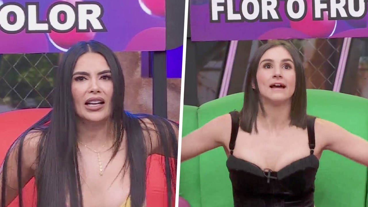 Los participantes de Las Estrellas Bailan en Hoy pusieron a prueba sus conocimientos en Basta