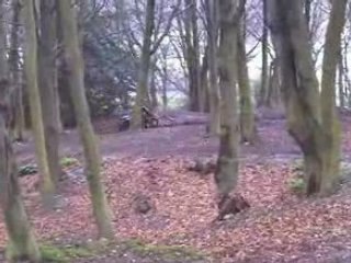 125rm 450wrf petit saut au terrain