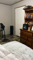 Amazing Liquid Kitty Squeezes Under Door