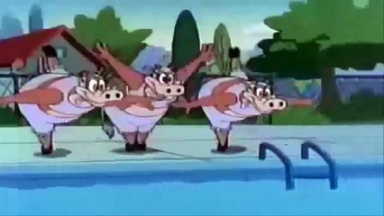 Pica Pau Competição de Moto Cross e Tal Pai Filho Nem Tanto HD Ep1