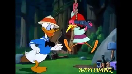 Donald Duck Chip and Dale Cartoons Full Episodes - Food for Feudin