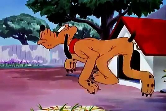 Old Disney Cartoons Pluto Bone Bandit