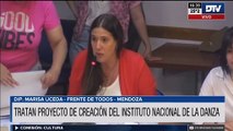 La Ley Nacional de la Danza avanzó en la Comisión de Cultura