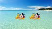 ᴴᴰ Pato Donald y Chip y Dale dibujos animados - Pluto, Mickey Mouse Episodios Completos Nuevo 2019-7