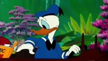 ᴴᴰ Pato Donald y Chip y Dale dibujos animados - Pluto, Mickey Mouse Episodios Completos Nuevo 2019-3