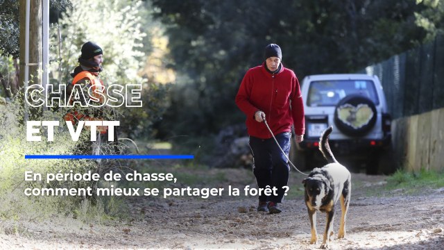En période de chasse, pas une sortie sans croiser un VTT : comment mieux se partager la forêt ?