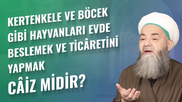 Kertenkele ve Böcek Gibi Hayvanları Evde Beslemek ve Ticâretini Yapmak Câiz midir?