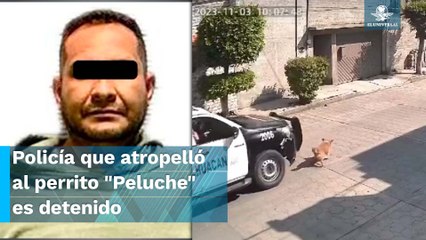 Cae policía que atropelló al perrito "Peluche" en Chimalhuacán