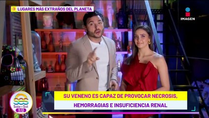 El misterio de la Isla de las  Serpientes