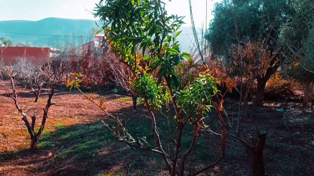 نحن قادمون وثائقي يروي احداثا و قصص واقعية مؤلمة A documentary entitled We Are Coming tells the story of painful real events and stories