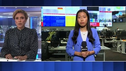 NSW firefighter volunteer killed by falling tree while battling blaze