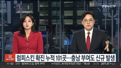 럼피스킨 확진 누적 101곳…충남 부여 새로 발생