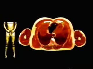 Bishoujo Shinseiki Gazer | show | 1998 | Official Clip