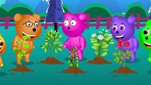 [1280x720] Mega Gummy bear planting trees finger family Rhyme for Kids Gummy bear crying Ice cream funny