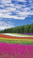 Sometimes |English Quote | If You | Weird Stories