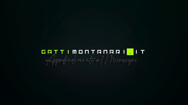 NANOPATOLOGIE E POLVERI SOTTILI