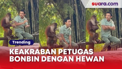 Viral! Keakraban Petugas Bonbin dengan Hewan Bak Saudara Kandung, Warganet: Emang Boleh Sebestie Itu?