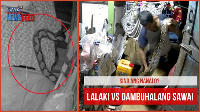Sino ang nanalo? Lalaki vs dambuhalang sawa! | GMA Integrated Newsfeed