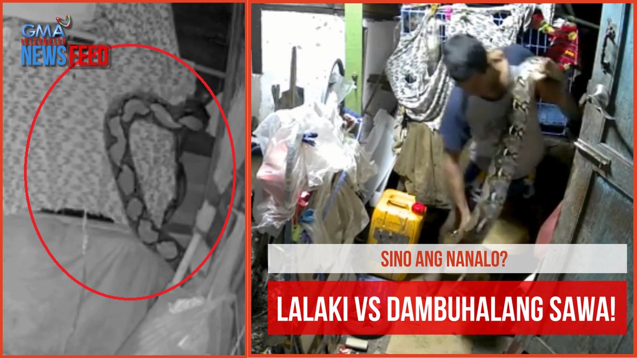 Sino ang nanalo? Lalaki vs dambuhalang sawa! | GMA Integrated Newsfeed