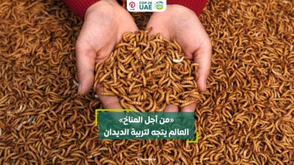"من أجل المناخ" العالم يتجه لتربية الديدان