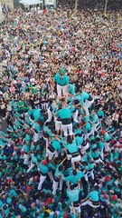 A Human Tower 9 People Tall