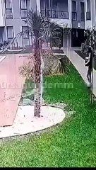 Kargo çalışanı lüks sitede havuza düştü