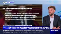 Ce qu'a dit aux enquêteurs la députée qui accuse le sénateur Joël Guerriau de l'avoir droguée