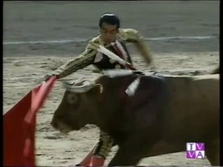 TARDE DE TOROS-LUGUILLANO-JOSE IGNACIO SANCHEZ Y JAVIER CONDE-MEDINA DEL CAMPO-10.09.96.