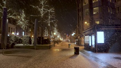 The Boppers - The Lights Of Christmas Day (Lyric Video)