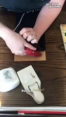 Turning Old Books into Butterfly Homes! || Best of Internet