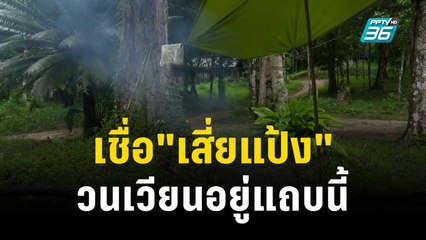 จนท.ตรึงกำลัง"บ้านป่าพง"เข้ม เชื่อ"เสี่ยแป้ง"วนเวียนอยู่แถบนี้ | เข้มข่าวค่ำ | 17 พ.ย. 66