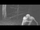 Paranormal Olaylar - Korkunç Ormanda Uzaylı Peşinde - Rake Bölüm 1