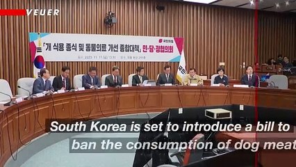 South Korea Proposes Ban on Dog Meat Consumption Amid Animal Rights Concerns