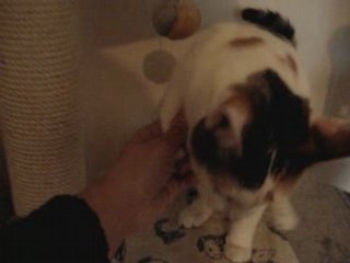 Pacte avec ma famille