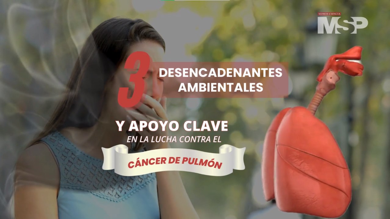 3 desencadenantes ambientales implicados en el cáncer de pulmón - #ExclusivoMSP