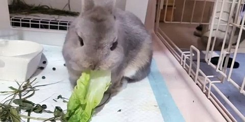 Boost Your Confidence with Angela White & Kayley Gunner's 4x Tits Tips! 💖