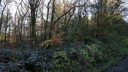 Habergham drone footage