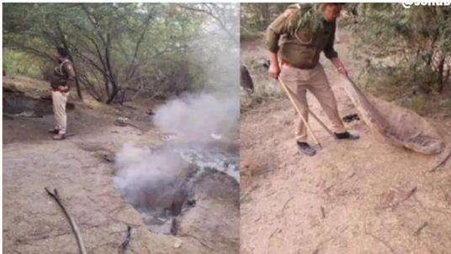 अनूपगढ़: अवैध शराब पर पुलिस का बड़ा एक्शन, हजारों लीटर लाहण की नष्ट