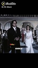 This video so beautiful