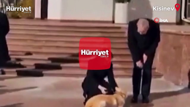 Moldova Cumhurbaşkanı Sandu'nun köpeği Avusturya Cumhurbaşkanı Bellen'in elini ısırdı