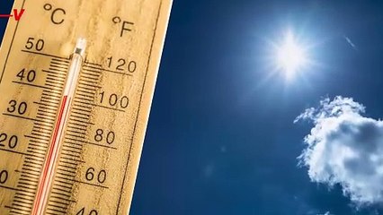 A New Report Says Companies Are Lying About Fighting Climate Change