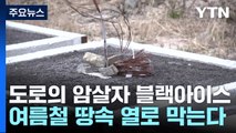 도로의 암살자 '블랙 아이스'... 여름철 모은 땅속 열로 막는다 / YTN