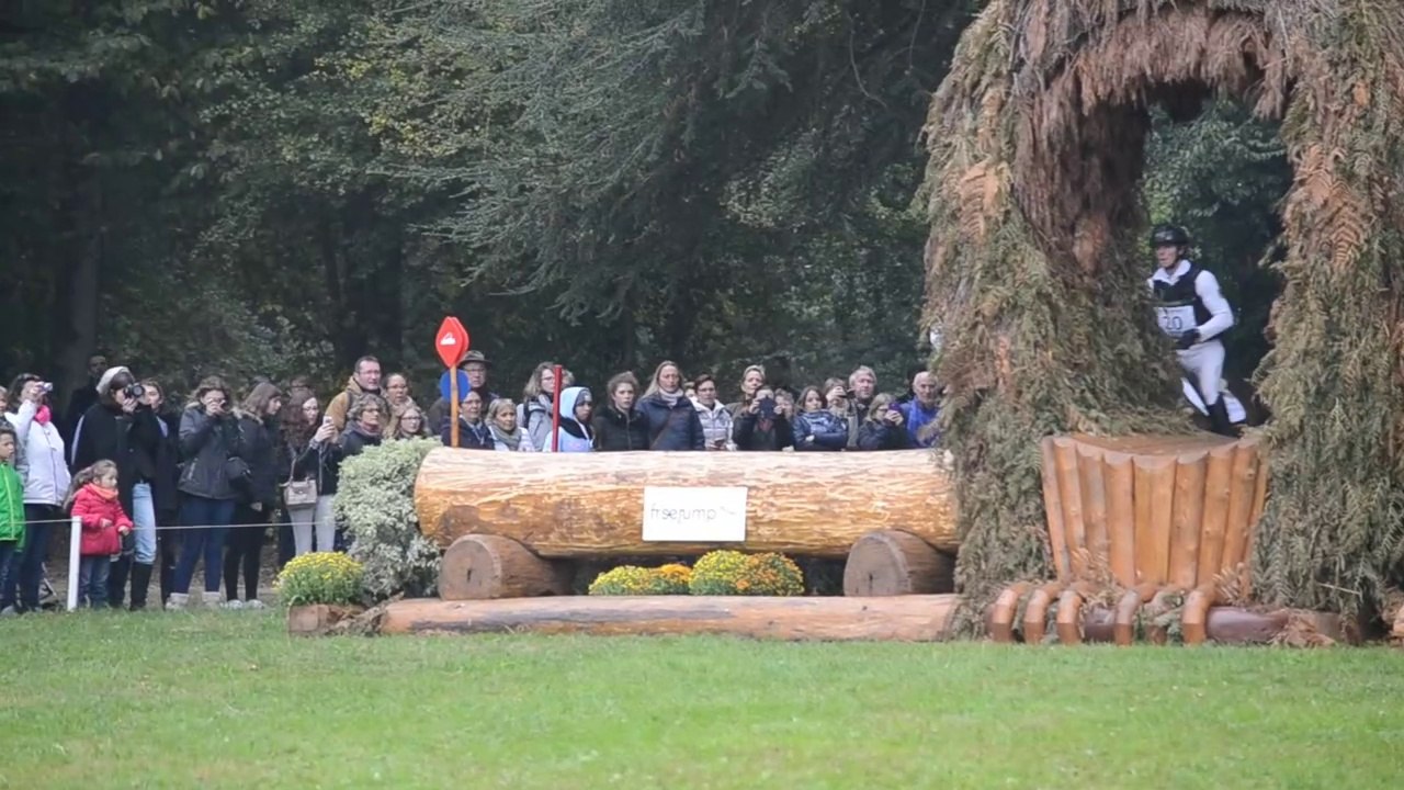 Mondial du LION 2016