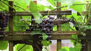 Surah Al-Mulk with Urdu English Translations   سورة الملك القارئ عمر هشام العربي