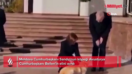 Görüşmeye eli bandajlı katıldı! Moldova Cumhurbaşkanı özür dilemek zorunda kaldı