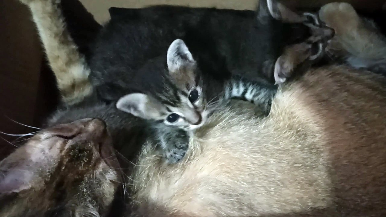 VID_20221013_170516
