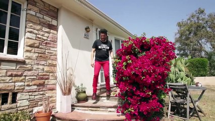 Sergio Arau | Y TÚ QUÉ