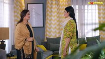 Meher Mah - Episode 25   Affan Waheed - Hira Mani   17th Nov 2023   Express TV