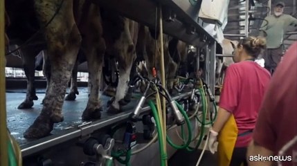 In Israele gara di solidariet? per la manodopera nei kibbutz