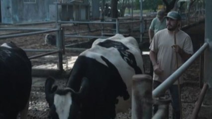 In Israele gara di solidarietà per la manodopera nei kibbutz